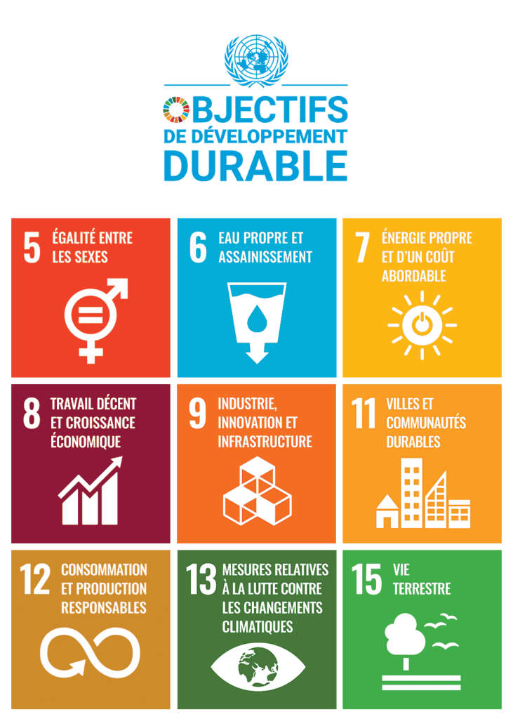 schema objectifs dev durable